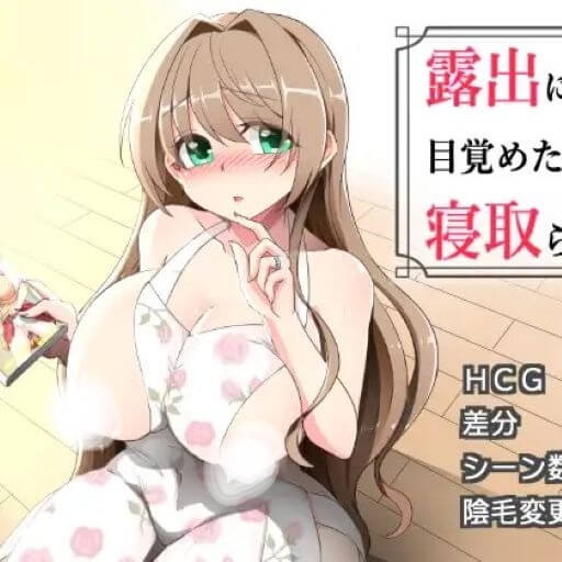 觉醒露出的人妻被寝取 Icon